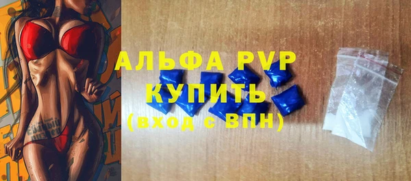 СК Алзамай